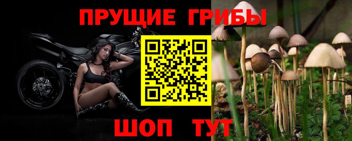 Алапаевск  Галлюциногенные грибы Cubensis  Вход с VPN  Псилоцибиновые грибы прущие грибы 